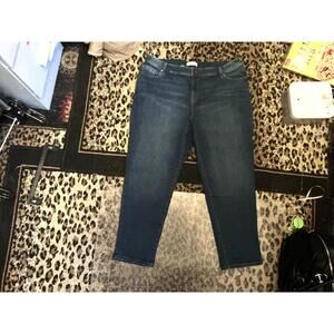 20 Lane Bryant Bri Jeans
